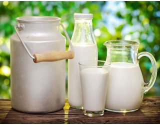 Минсельхоз прогнозирует увеличение производства молока в 2019 году на 500 тыс. тонн