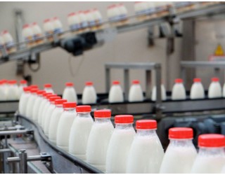 Экспорт молочной продукции из России к 2024 году может вырасти почти в три раза